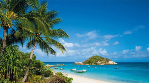 鱼情于你烤鱼饭