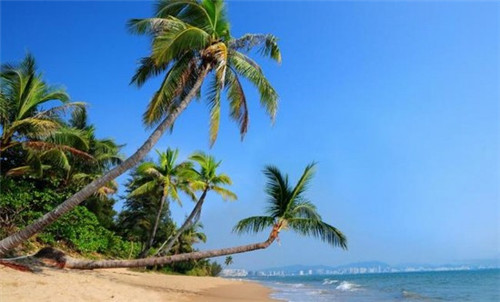 手动剃须刀品牌排名