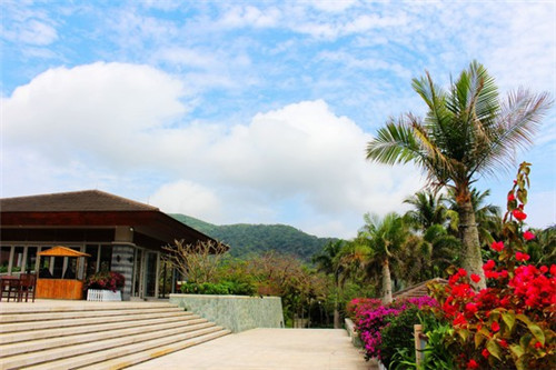 老年代步车品牌有哪些