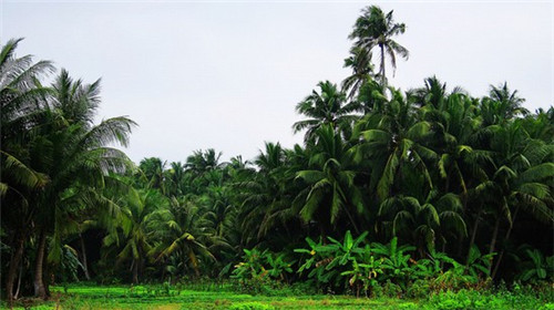 哪些韩式双人床加盟项目比较靠谱，双人床介绍
