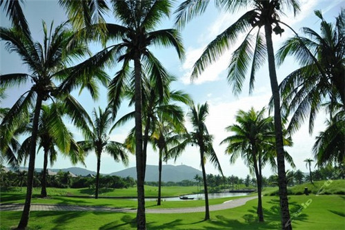 火锅圆桌子设计多大