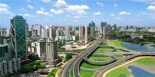 斗枪鱼的正宗做法（斗枪鱼的正宗做法图片）