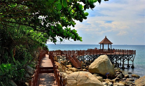 木耳炒鸡肉丁怎么炒（木耳炒鸡丁图片）