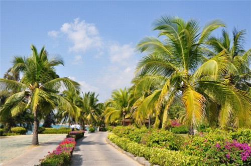 红椒炒黄豆家常做法（红黄椒炒什么好吃）