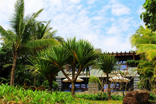 来滴狗洞洞洞是什么歌（来滴狗来滴狗歌曲）