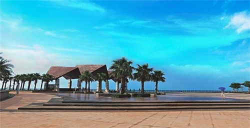 交易者十大特征包括什么（交易者容易犯什么毛病）