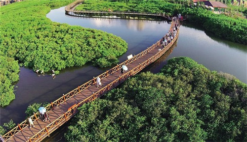 钢管舞穿搭小游戏叫什么（钢管舞造型）