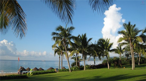 天刀手游还值得吗（天刀手游坑不坑）