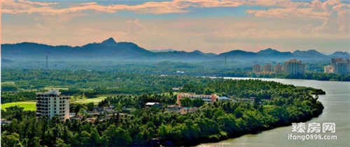 黑松最忌三种土（黑松最忌三种土质）