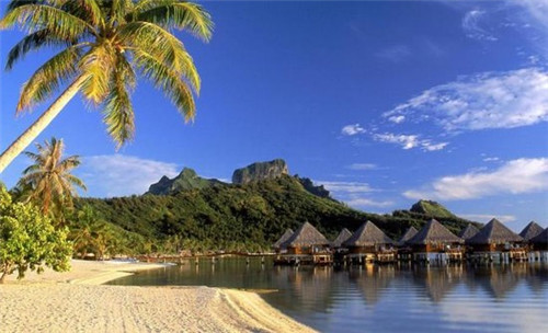 凌子涵抖音平台有股份吗（凌子涵是谁）