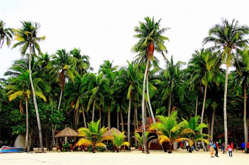 内战是什么游戏里的歌（内战歌词）